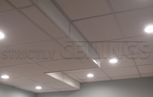 Residential Ceiling Installation