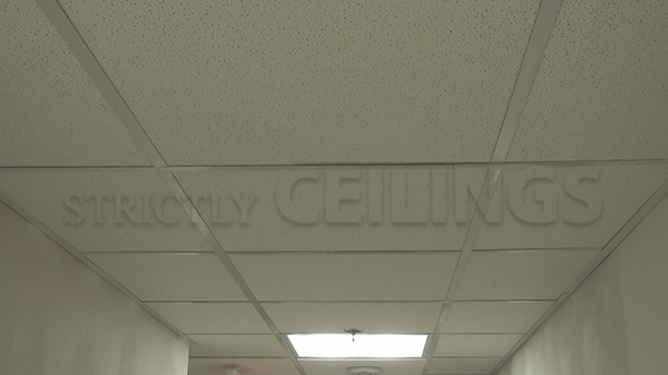 Basic Drop Ceiling Tile Showroom Low Cost Drop Ceiling Tiles