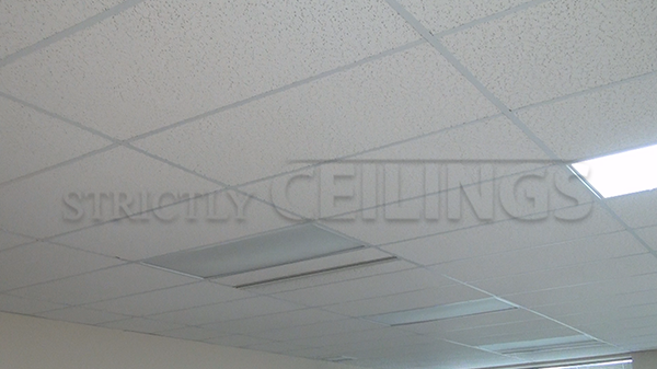 Basic Drop Ceiling Tile Showroom Low Cost Drop Ceiling