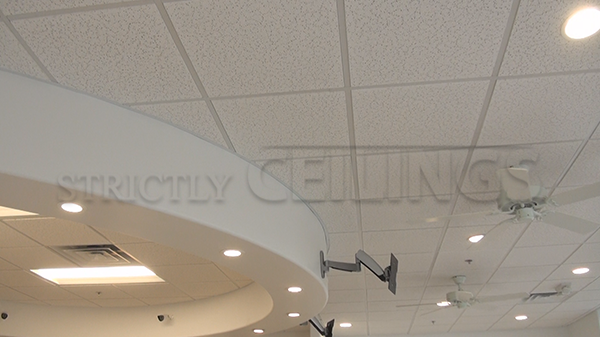 Basic Drop Ceiling Tile Showroom Low Cost Drop Ceiling