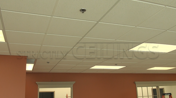 Mid Range Drop Ceiling Tiles Designs 2x2 2x4 Affordable