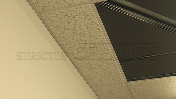 Mid Range Drop Ceiling Tiles Designs 2x2 2x4 Affordable