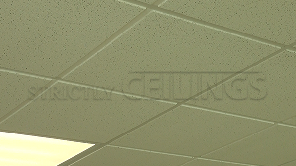 Mid Range Drop Ceiling Tiles Designs 2x2 2x4 Affordable