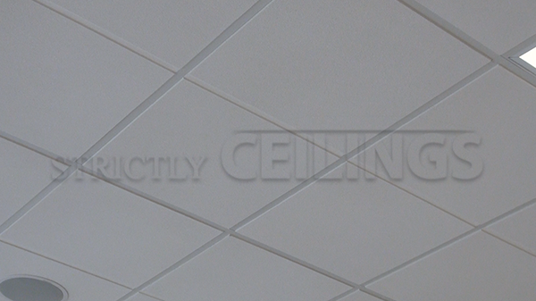 Mid Range Drop Ceiling Tiles Designs 2x2 2x4 Affordable