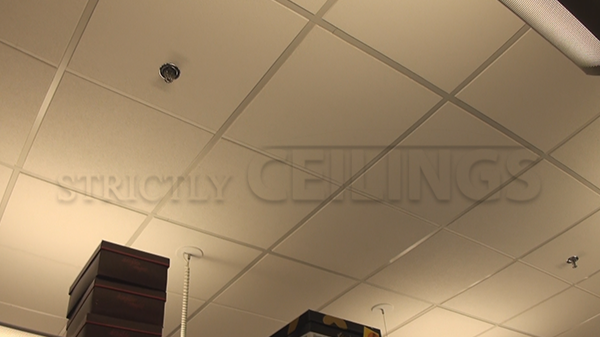 Mid Range Drop Ceiling Tiles Designs 2x2 2x4 Affordable