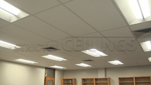 Basic Drop Ceiling Tile Showroom Low Cost Drop Ceiling