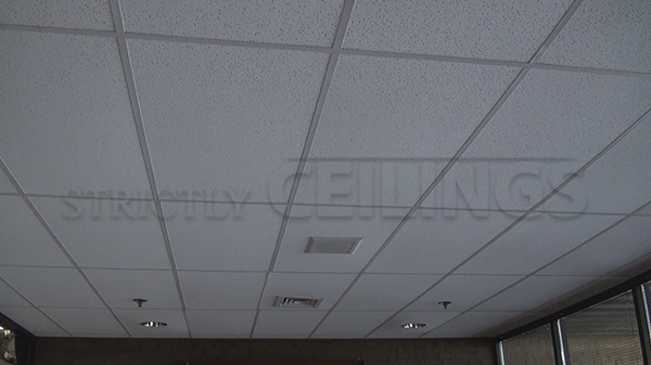 Basic Drop Ceiling Tile Showroom Low, Flat Ceiling Tiles