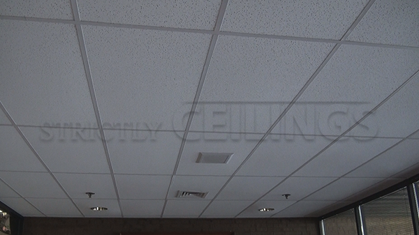 Basic Drop Ceiling Tile Showroom Low Cost Drop Ceiling Tiles