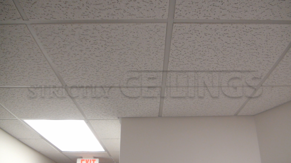 Basic Drop Ceiling Tile Showroom Low Cost Drop Ceiling Tiles