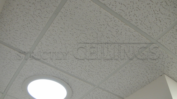 Basic Drop Ceiling Tile Showroom Low Cost Drop Ceiling Tiles