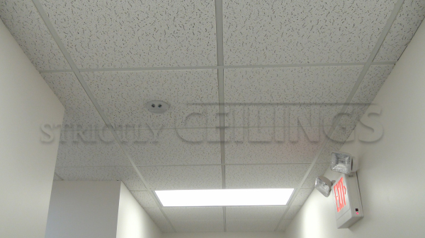 Basic Drop Ceiling Tile Showroom Low, Usg Vs Armstrong Ceiling Tiles